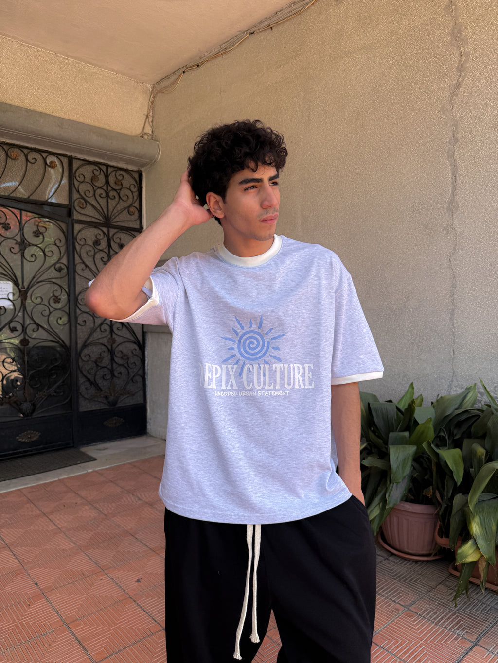Depix Culture Gray T-Shirt